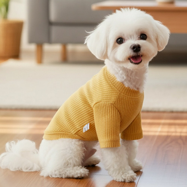 쁘띠도그 우드버튼티 봄가을 반려동물 강아지옷 니트 버튼 3color S~XL, 머스타드, 1개