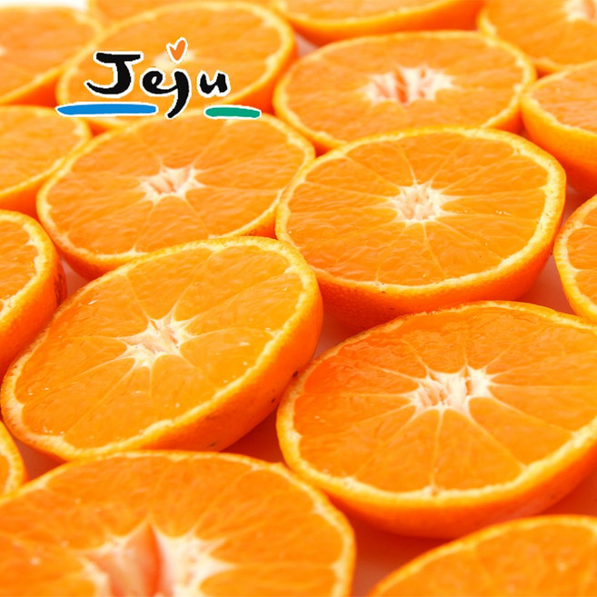 [재구매1위]산지직송 제주 감귤 타이백 비가림 노지귤 고당도, 1개, 제주 노지감귤 10kg 로얄 (S.M.L)