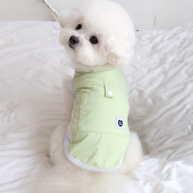 펫츠랜드 반려동물 아이스 포켓 쿨티, 라임, 1개