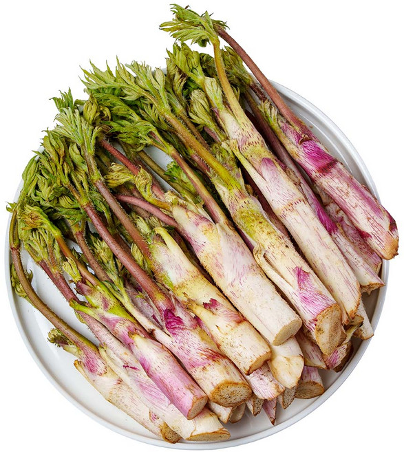 전라도청년 프레시 신선한 국내산 땅두릅, 1kg, 1박스