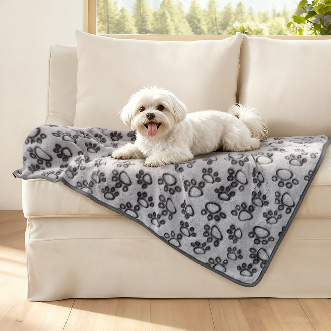 소형 강아지 고양이 펫 극세사 이불 담요, 1개, 회색