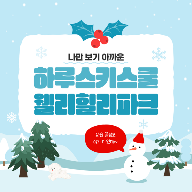 8위 - 웰리힐리파크 스키강습 프리미엄 개인 레슨 (1:1부터 선택가능), 1:1 강습 2시간