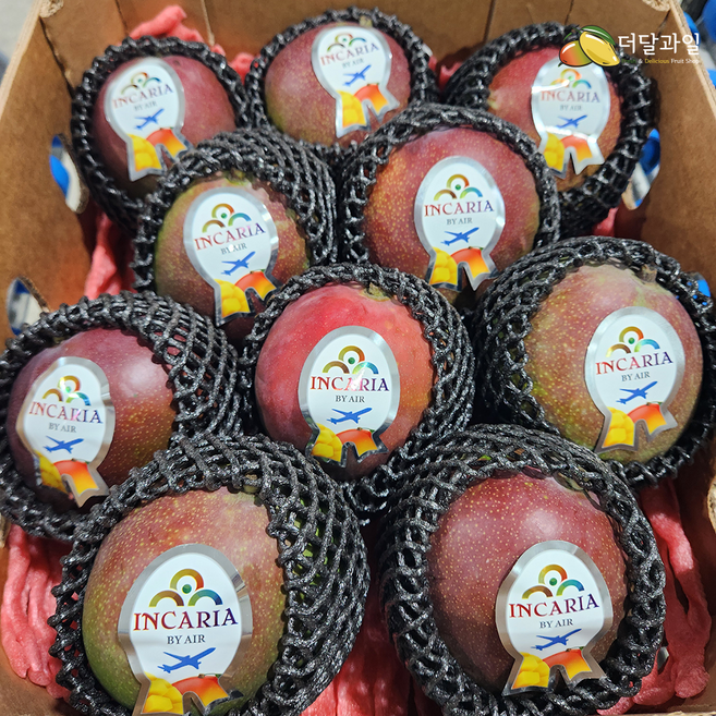 항공수입 페루 켄트 애플망고 프리미엄 열대과일 생과, 1박스, 9-10입(3.8~4kg 내외)