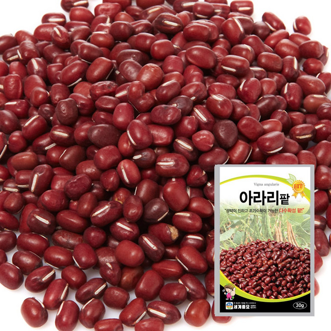 아라리팥 30g / 팥 씨앗 종자 텃밭키우기 채소키우기, 2개
