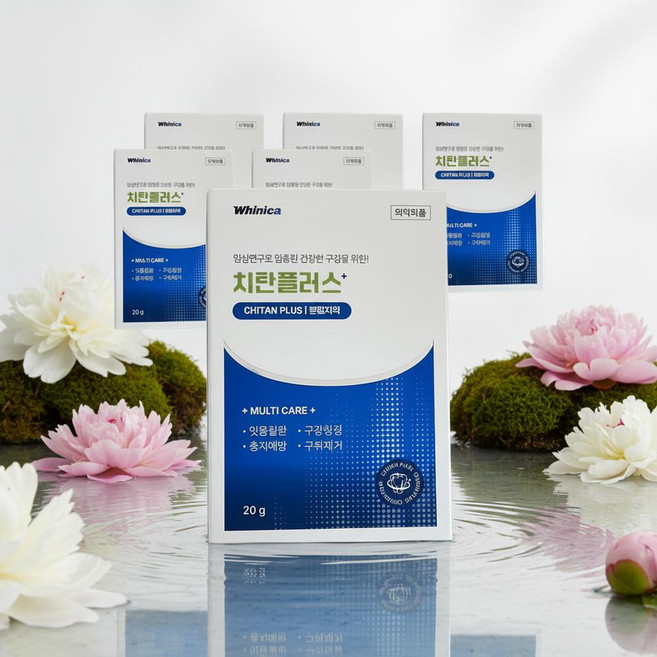 화이니카 치탄 플러스 분말치약 치탄플러스 가루치약, 6개, 20g