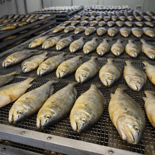통통한 군산 반건조 부세조기, 1박스, 왕특대 2마리
