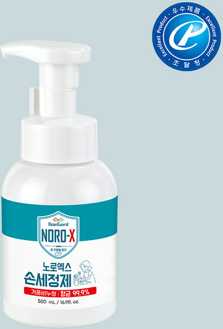 노로엑스 노로-X NORO-X 손세정제 바이오쓰리에스 우수제품 핸드워시 500mL, 1개