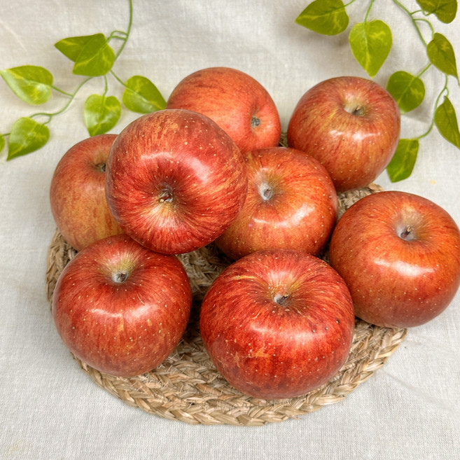 사과 가정용 쥬스용 선물세트 못난이 홍로 부사 감홍 시나노골드 황금사과 꿀사과 낙과, 1박스, 부사사과 쥬스용 6kg