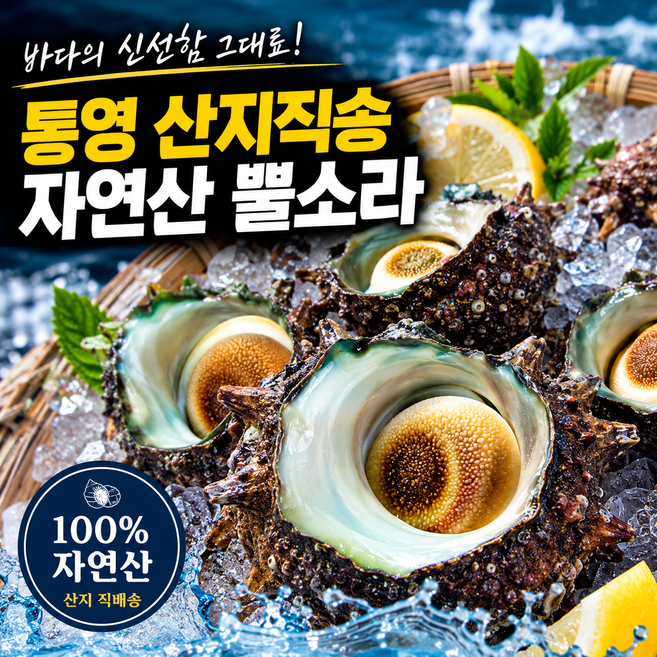[통영산지직송] 헤드스톤 자연산 생물 뿔소라, 1개, 3kg