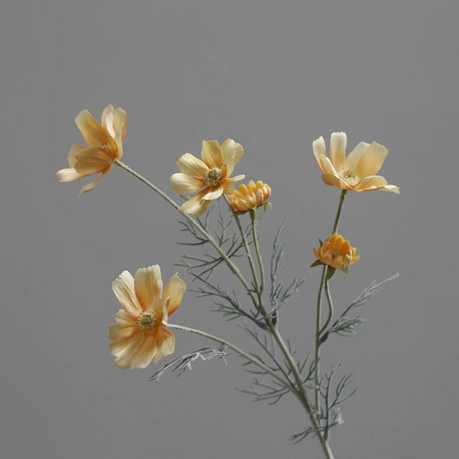 仿真波斯菊 仿真雛菊 拍照道具, 仿真波斯菊【淺黃】單支