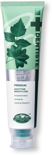 DENTISTE 덴티스테 뉴 플러스화이트 프로 치약 튜브형 개운한 민트향, 160g, 1개