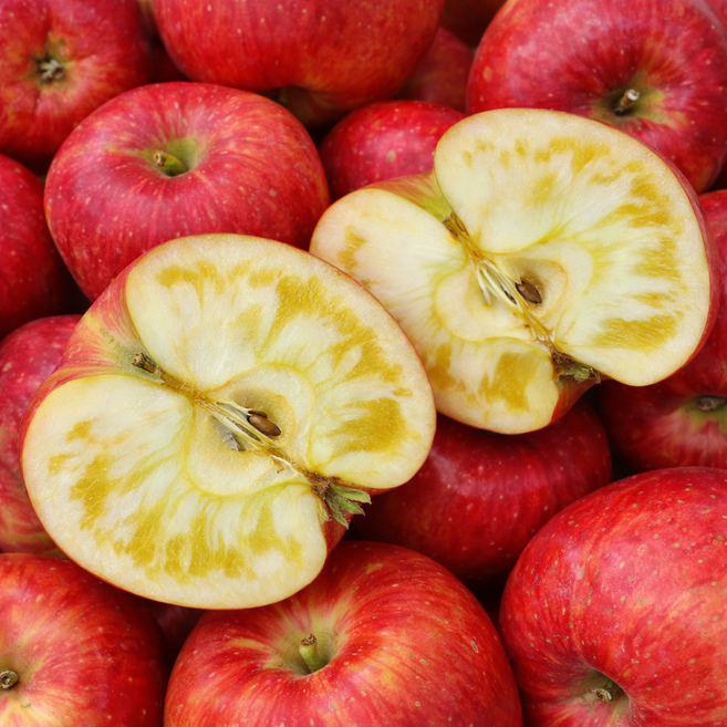 [50%할인] 1+1 문경 통으로 먹는 꿀당도 부사 사과 5KG 대과 (총 10키로발송), 1박스, 10KG