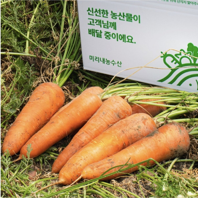 [미리내 농수산] 햇 당근 국내산 흙당근 제주 구좌 당근, 1개, 1kg [상]