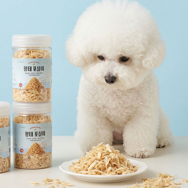 사르르 저온건조 강아지 황태가루 황태채 포실이 간식, 1개, 50g, 황태