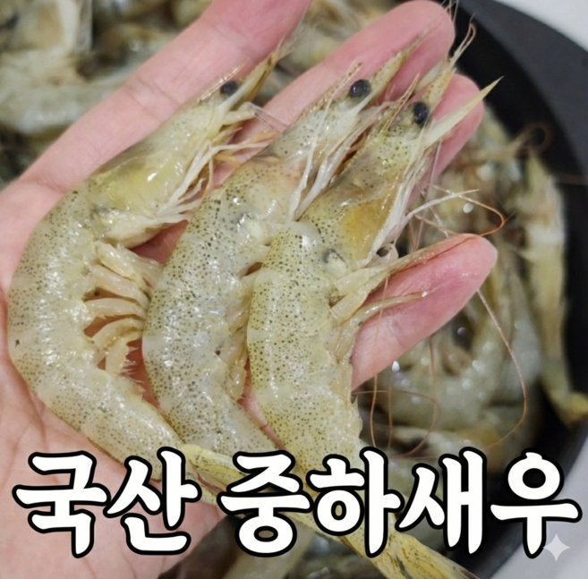 [타임특가] 제철수산 급냉 중하새우 생새우, 1개, 중하새우 2kg