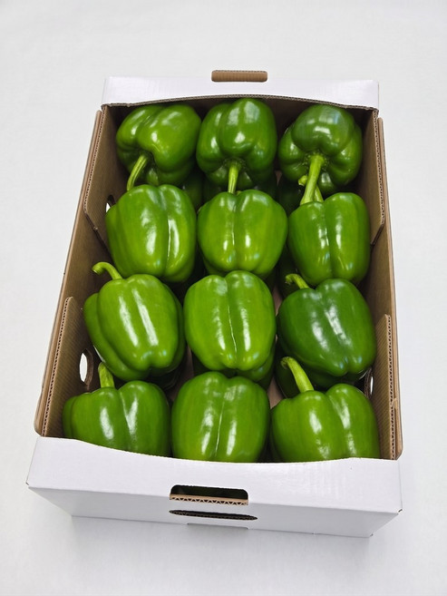 썬메이트 프리미엄 파프리카 초록 5kg [농장직송] GAP경진대회 대상, 1개