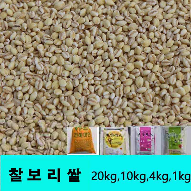 잡곡은보약 찰보리쌀.10kg 국산.2026년산, 1개
