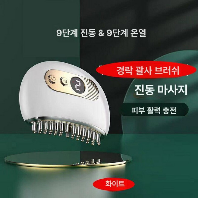 아티 마그네틱괄사빗 두피 얼굴 1개 빗 마사지, G-4 충전식 마사지 빗 화이트