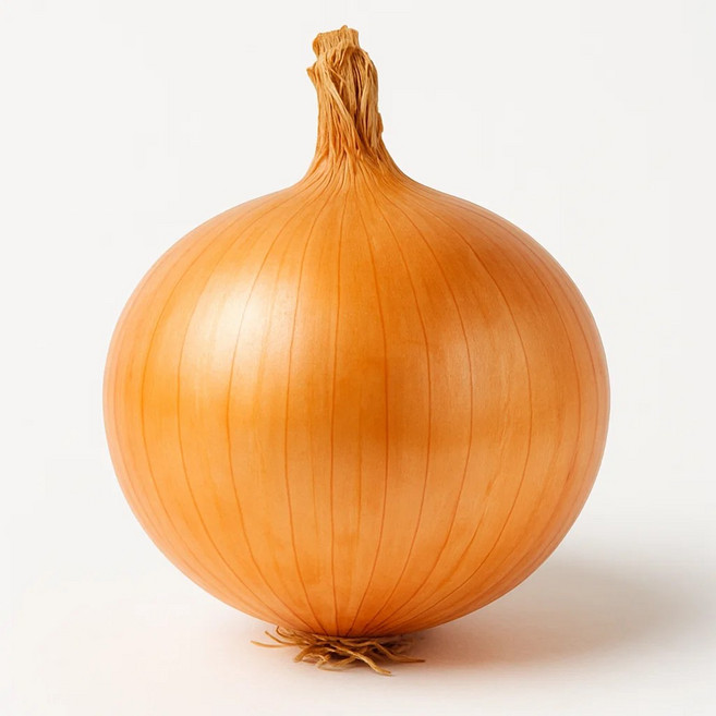 국내산 만생종 햇양파 산지직송 신선 양파 대용량, 1박스, 중 10kg