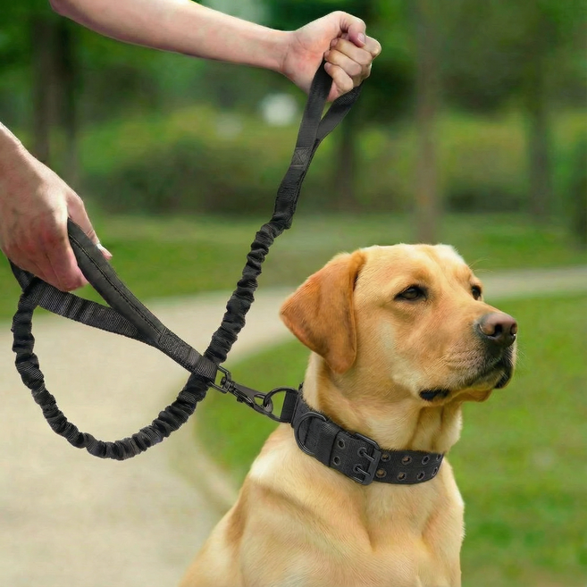 더트롱 대형견 중형견 벨트 목줄 리드줄 세트, 블랙, 1세트
