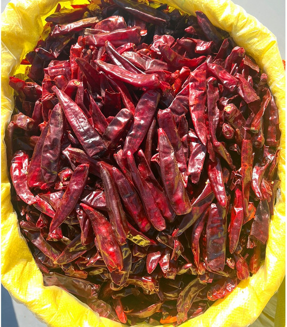 2025년 햇 중국산 금탑(중간) 건고추 1kg, 1개