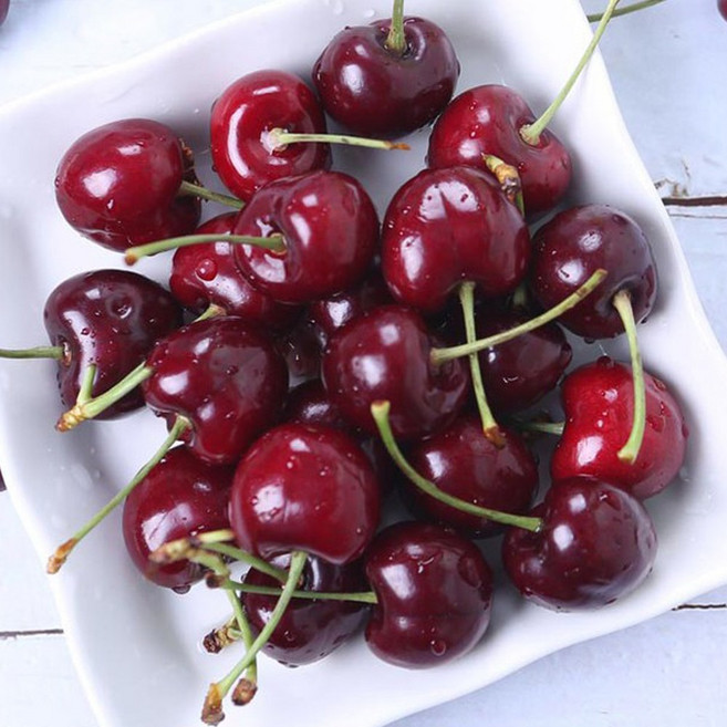 프리미엄 체리 항공직송 9.5~10R 특품 생 체리 1kg 2kg, 1개