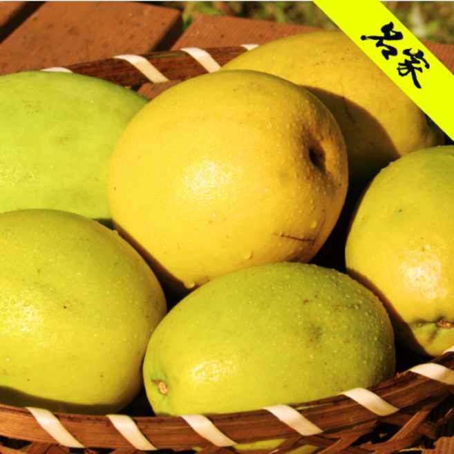 [향기폭발] 재구매율1위한 농가직송 특품선별 100%국내청도산 햇 모과, 1박스, 5kg(소과)