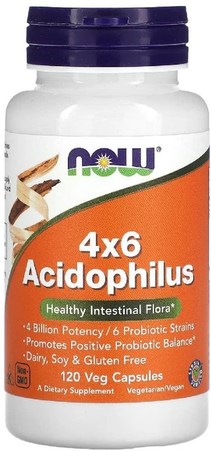 나우 푸드 프로바이오틱 유산균 4x6 애시도필러스 락토바실러스 베지 120캡슐, 1개 - 쿠팡