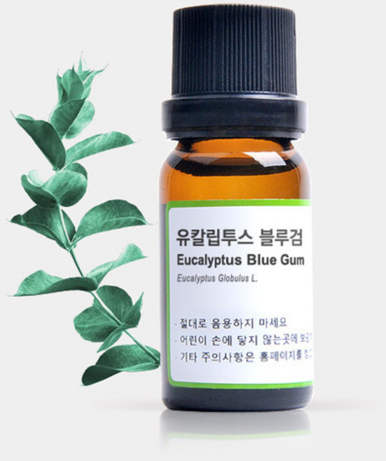 독일 유로아로마 유칼립투스 고급 아로마오일 - 37년 전통 독일산 수입완제품 유칼립투스 Eucalyptus 에센셜오일, 1개, 10ml