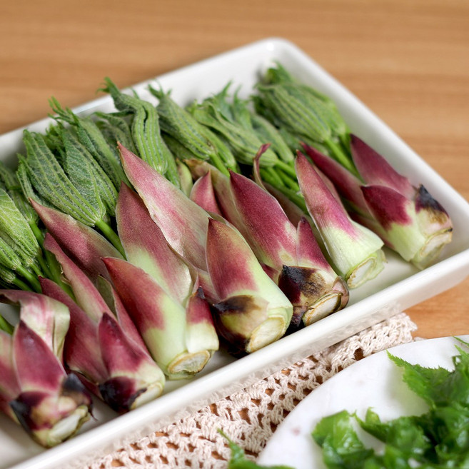 지리산 햇 엄나무순 개두릅 음나무순 엉게 상품 특상품 프리미엄 가정품 500g 1kg, 특상품 1kg