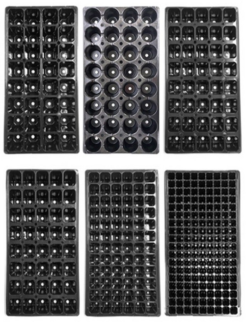 모두다 국산 육묘판 모종판 육묘 플러그 트레이, 10개, 플러그트레이
