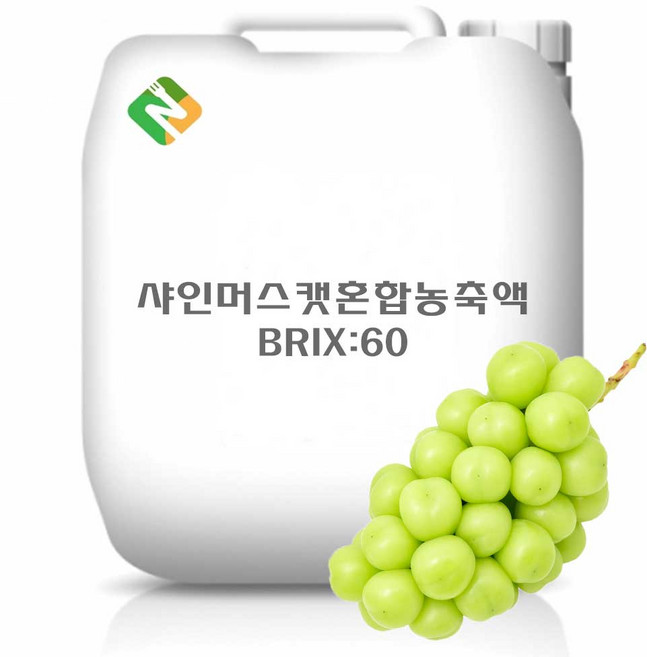 샤인머스캣혼합농축액 60Brix 200g 샘플, 1개