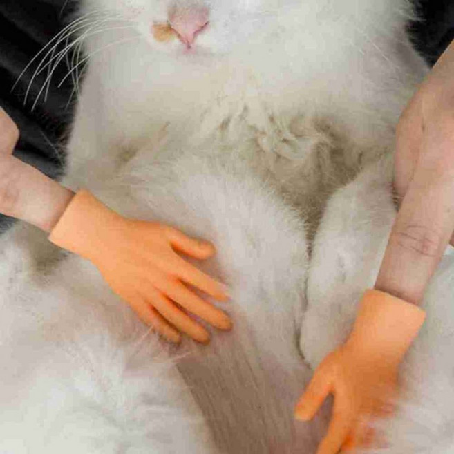 미니 피규어 손 장난감 미니손가락인형 피규어액세서리