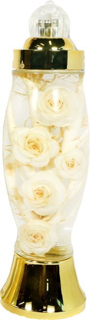 국내산 인삼 담금주 인삼주 만들기 키트 1600ml, 1개, 1.6L