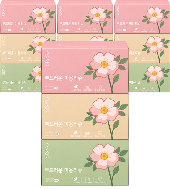 오아시스 천연펄프 미용티슈, 12개, 300매
