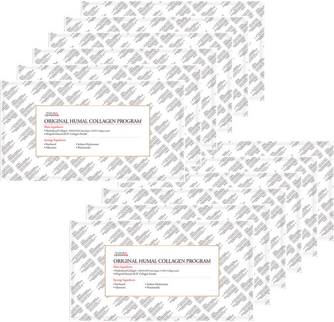 더마픽스 오리지널 휴멀 콜라겐 프로그램, 12개입, 1개