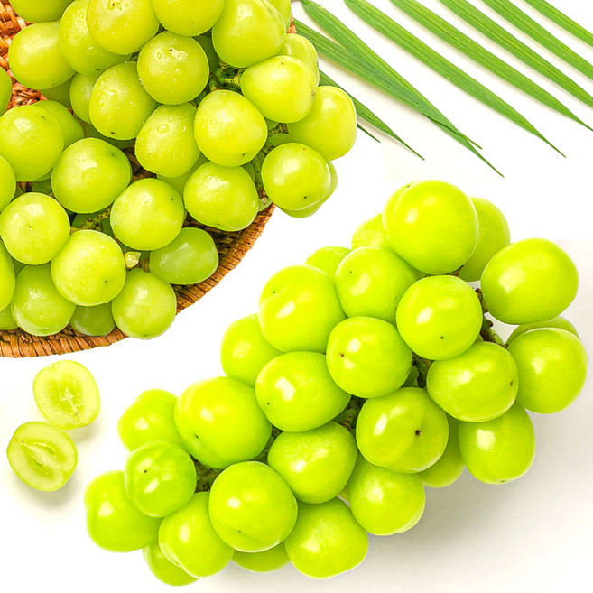 샤인머스켓 고당도 씨없는 망고포도, 4kg(특품 4~5송이), 1개