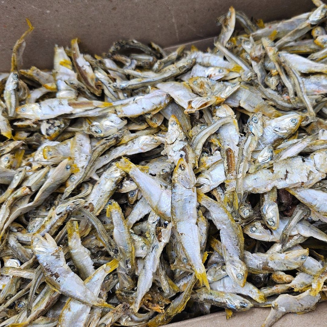 국내산 햇 고노리(곤어리) 1.5kg 실속형 업소용 식자재용 다시멸치 육수멸치 국물멸치, 1개
