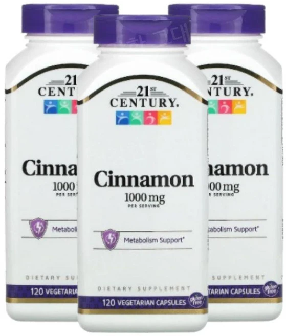 21stCentury Cinnamon 시나몬 1000mg 120캡슐 3개 계피추출물, 120정 - 쿠팡