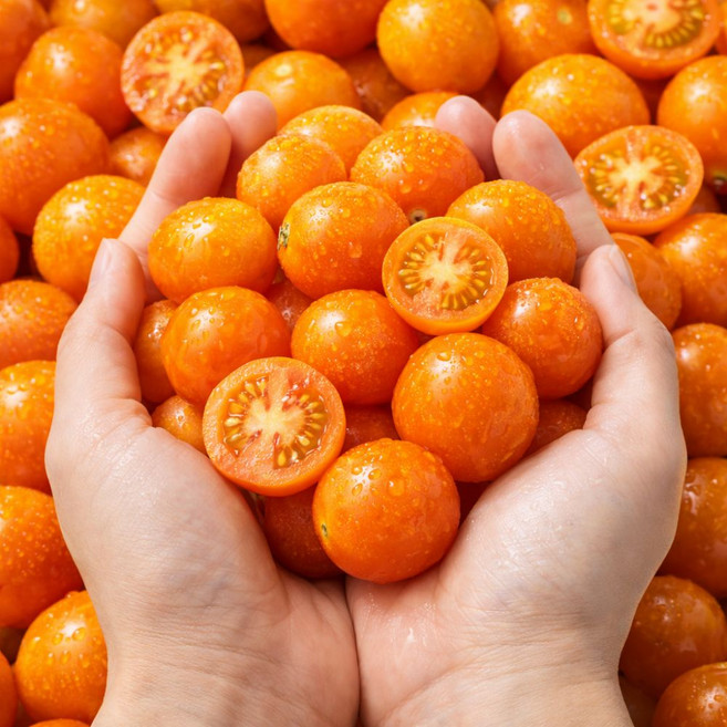 과즙폭발 달콤 상큼! 자몽마토 방울토마토, 500g