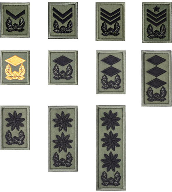 육군 간부 포제 계급장 군대 약장 와펜 패치