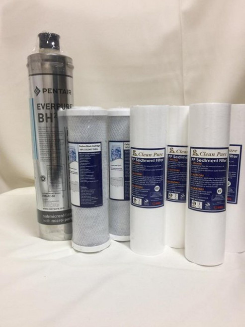 瑋潔淨水 EVERPURE Everpure BH2濾芯一年份 取代S100 S104 H104 H100, 1個