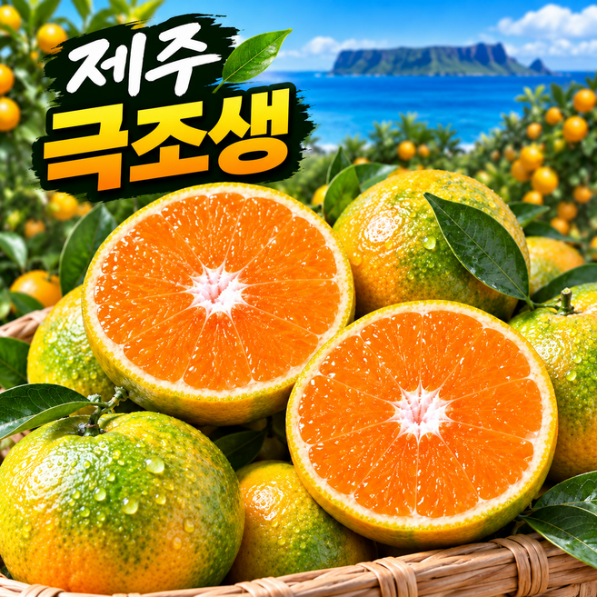 제주 산지직송 햇감귤 극조생 노지귤 새콤달콤, 1박스, 5kg 중대과