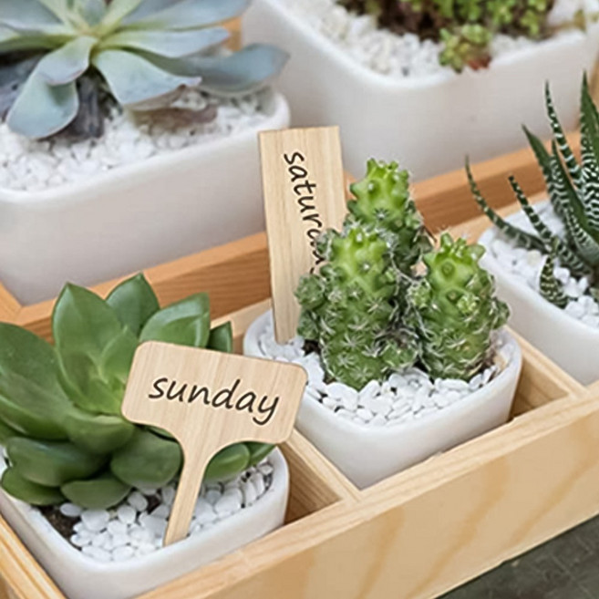 우드 식물네임텍 식물 화분 화단 이름표 라벨 팻말 푯말 나무펫말 네임택 화분픽, 10개