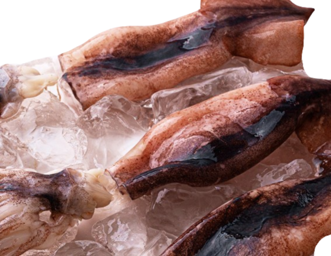 홈쇼핑 국내산 손질 통오징어 18미(2미X9팩), 9개, 180g