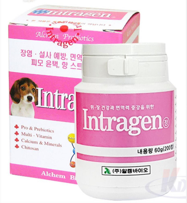 강아지 200정 피모 장건강 비타민 노령견 강아지보조제 건강기능식품 노견, 1개