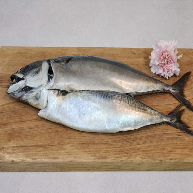 부산 특대 자반고등어 2미 손질고등어 (손질 후 중량 900-1.1kg 내외 / 길이 37cm-40cm내외), 1박스, 900g