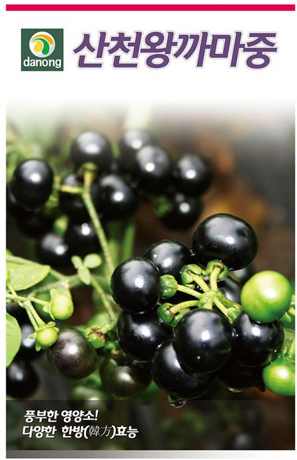 산천왕까마중씨앗 50립 [26년포장] 까마중종자, 1개