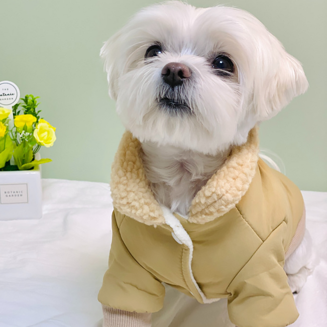 펫티 강아지패딩조끼 강아지패딩하네스 애견방한복, 곰돌이패딩B, 베이지, 1개