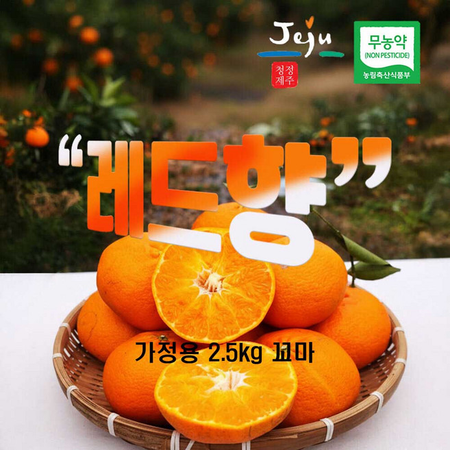 가정용 못난이 / 선물용 제주산 무농약 인증 레드향, 1개, 2.5kg 꼬마